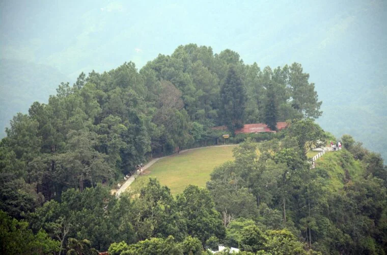 आर्थिक उन्नयनमा वनः १७ करोड २३ लाखको कारोबार