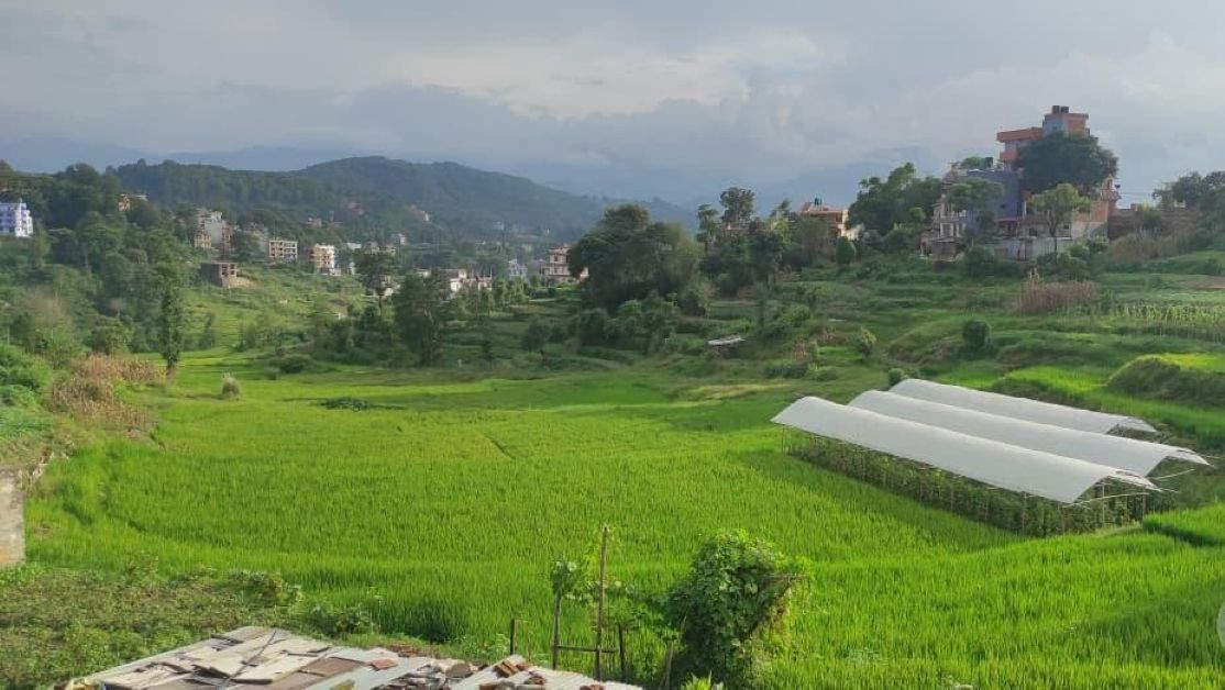 दुई दशकदेखि रोकिएको धुलिखेल जग्गा विकास आयोजना ब्युँतिँदै