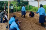 ‘धवलागिरिको इच्छा, गरिखाने शिक्षा’