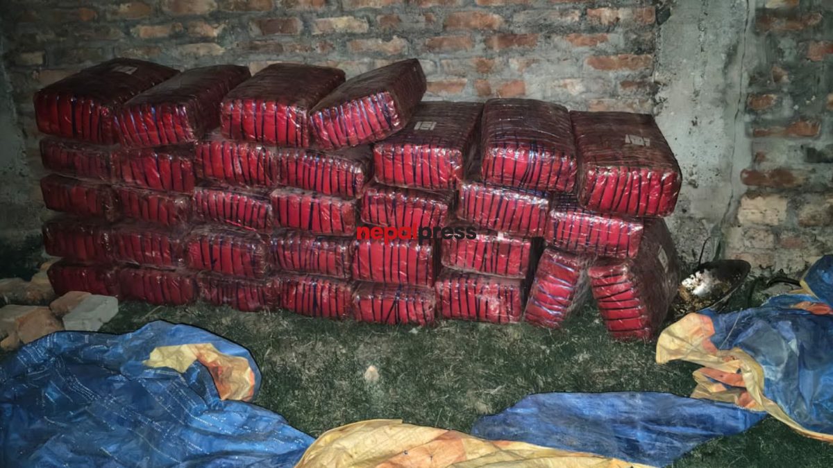सप्तरीमा २० क्विन्टल गाँजासहित दुई जना पक्राउ