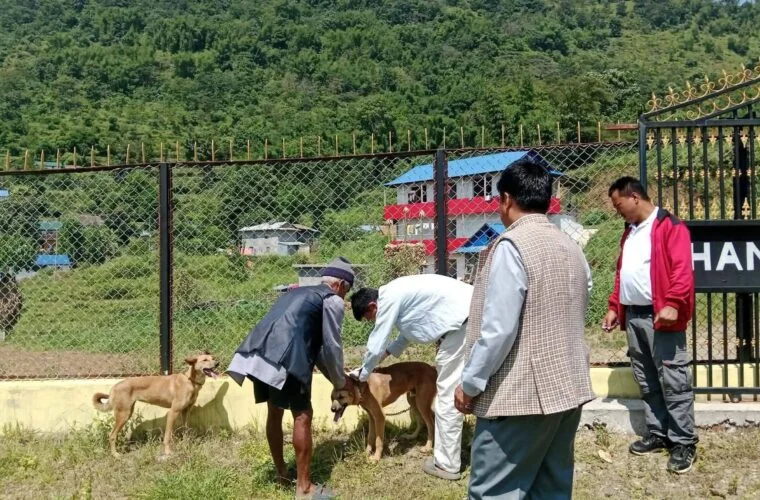 सानोदुम्मामा विशेषज्ञसहितको पशु स्वास्थ्य शिविर सञ्चालन