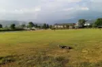 पोखरामा भुटानको राष्ट्रिय क्रिकेट टोलीको चार वटा अभ्यास खेल