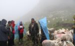 विदेशबाट फर्किएका युवा भेडापालनमा