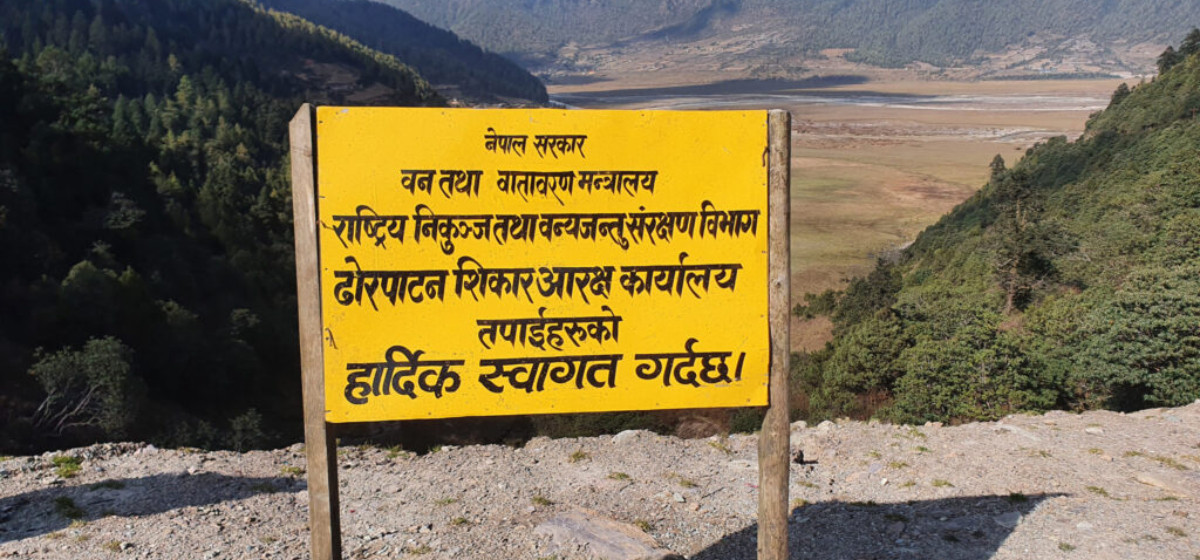 ढोरपाटनमा नाउर र झारलको गणना गरिँदै