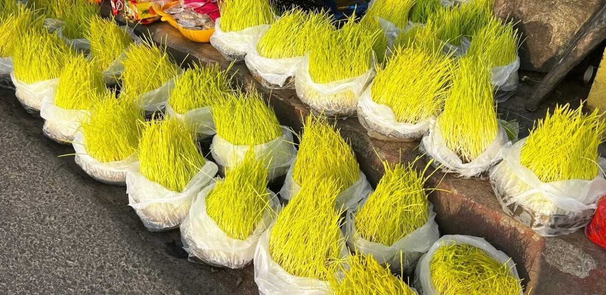 बिक्रीमा जमरा