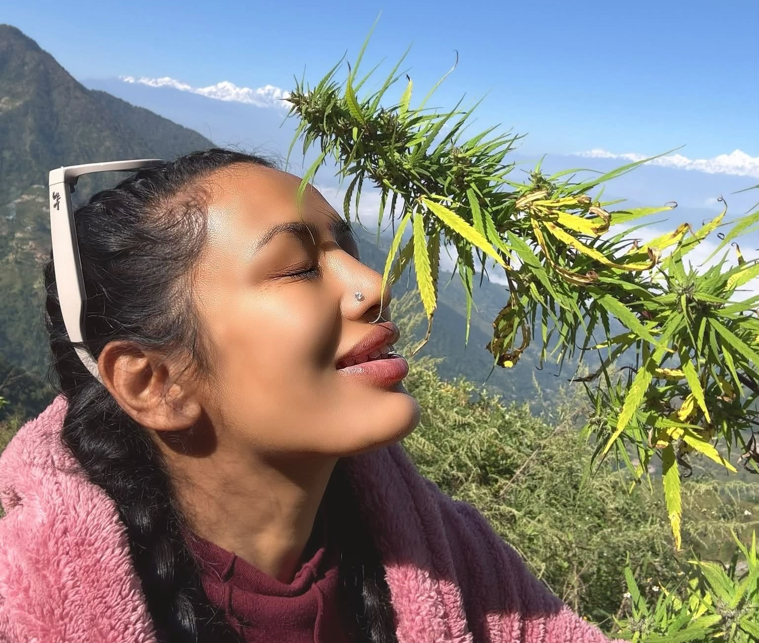 गाँ*जा खेतीलाई वैधानिकता दिन रास्वपा सांसद आशिका तामाङको माग
