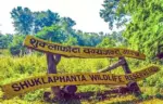 शुक्लाफाँटामा पर्यटक आवागमनमा वृद्धिः १३ दिनमा ६०० पर्यटक