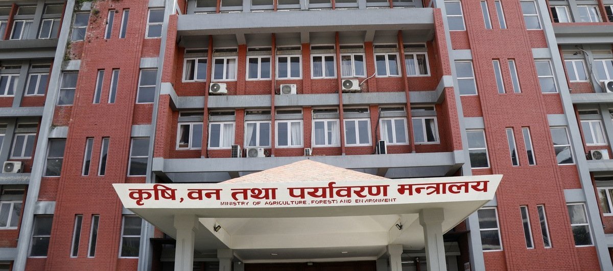 सरकारले उखु किसानलाई डेढ अर्ब अनुदान दिने