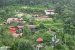 जडीबुटी उद्यान अवलोकन गर्न तनहुँको झाङ्गाझोली